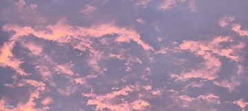 1000153630