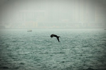 DSC_6695_副本.jpg