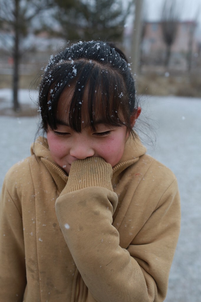 大雪,彩艳。