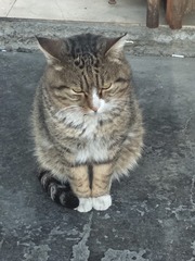 41165