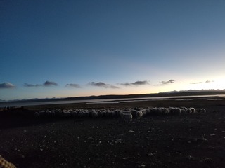 1000075222