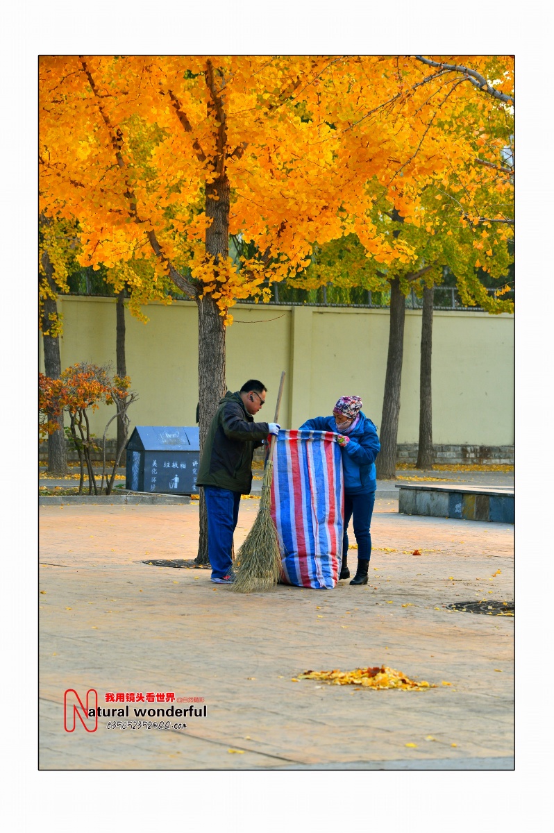 我的城市 我的家