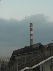 296561