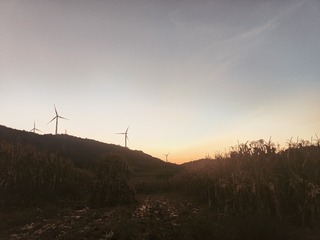 1000048432