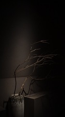1000050199