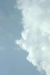 1000016100