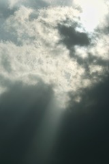 1000016105