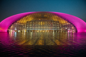 11977