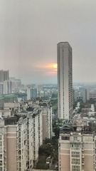 1000024319