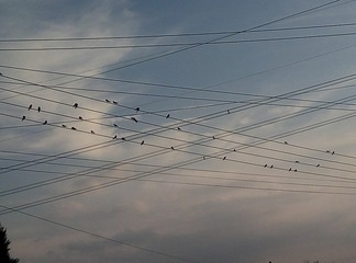 67904