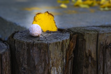 2894566