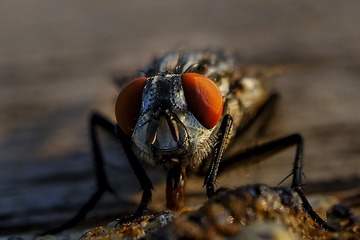 2658014