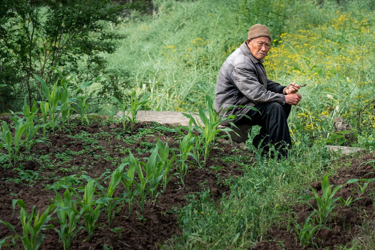 乡行散记:留守土地的老人