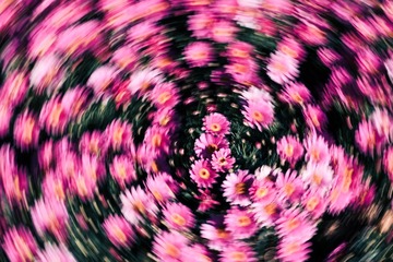 1000646472