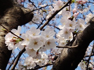 DSC02818_副本.jpg
