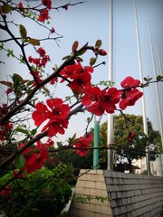 DSC02792_副本.jpg