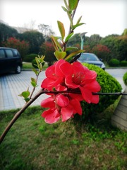 DSC02793_副本.jpg