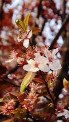 DSC02807_副本.jpg