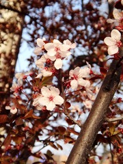 DSC02808_副本.jpg