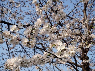 DSC02811_副本.jpg