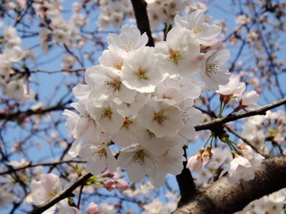 DSC02819_副本.jpg