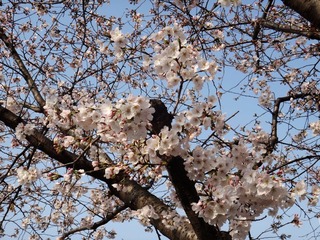 DSC02820_副本.jpg