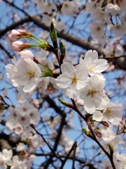 DSC02823_副本.jpg