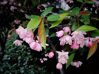 DSC02915_副本.jpg