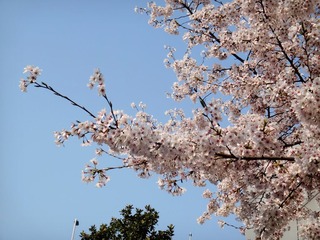 DSC02877_副本.jpg