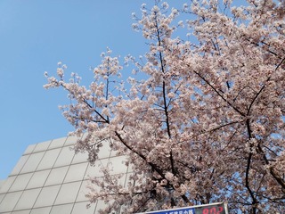 DSC02879_副本.jpg