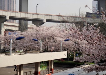 DSC02882_副本.jpg