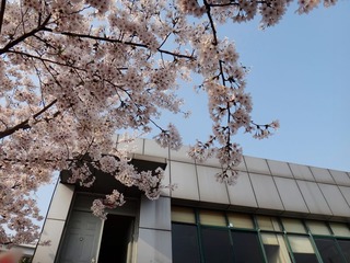 DSC02886_副本.jpg
