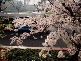 DSC02889_副本.jpg