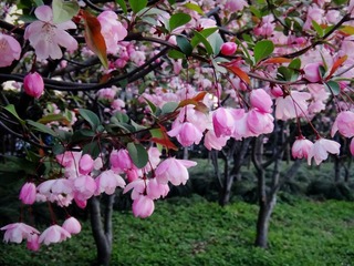 DSC02908_副本.jpg