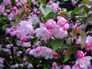 DSC02913_副本.jpg