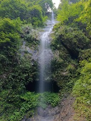 1000075571