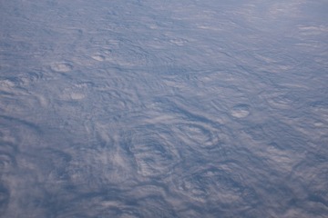 1000061091