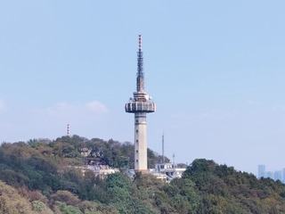 1000005391