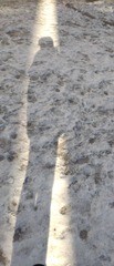 20040