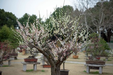 LIO_6241_2