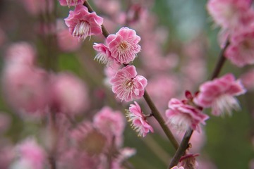LIO_6260_2