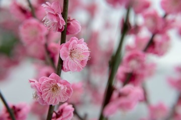 LIO_6283_2