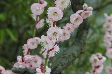 LIO_6363_2