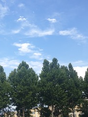365482
