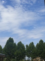 365476