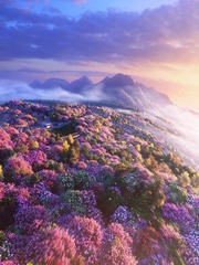 124041