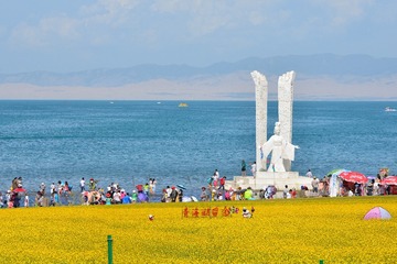 654849