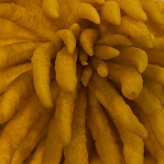 130186