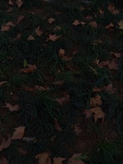 1000053702