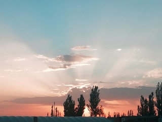 2303